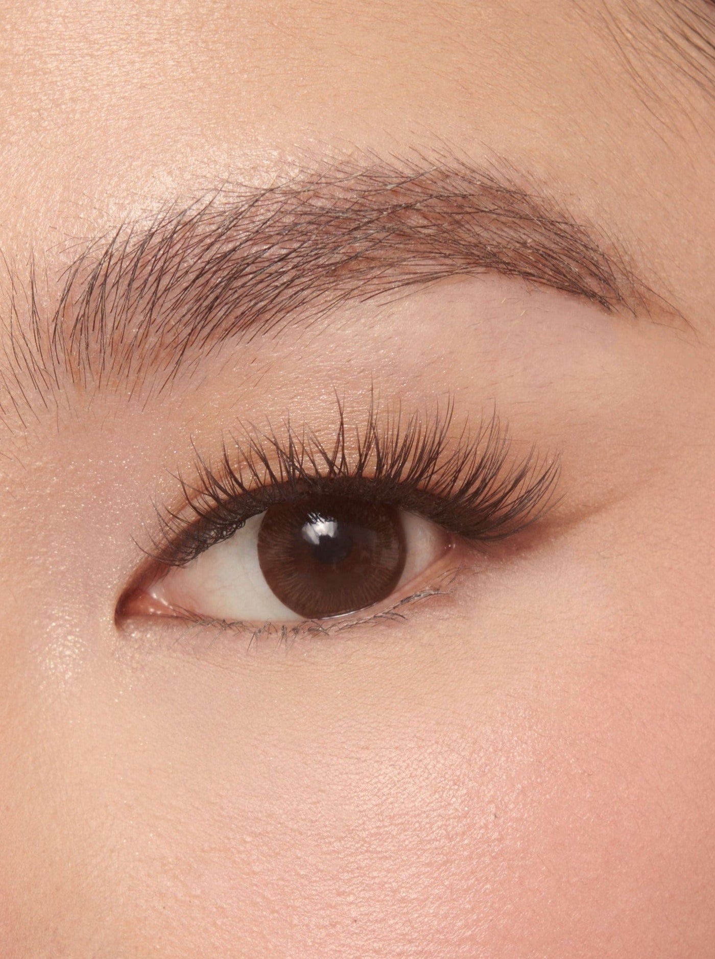 LASH ROUTINE 01