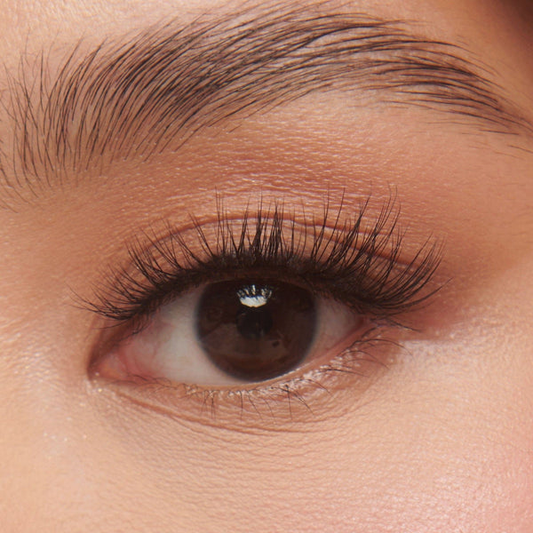 LASH ROUTINE 04