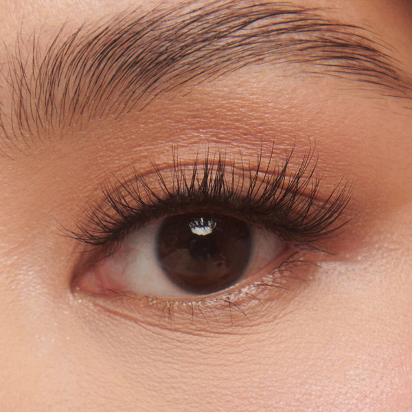 LASH ROUTINE 04 SHORT