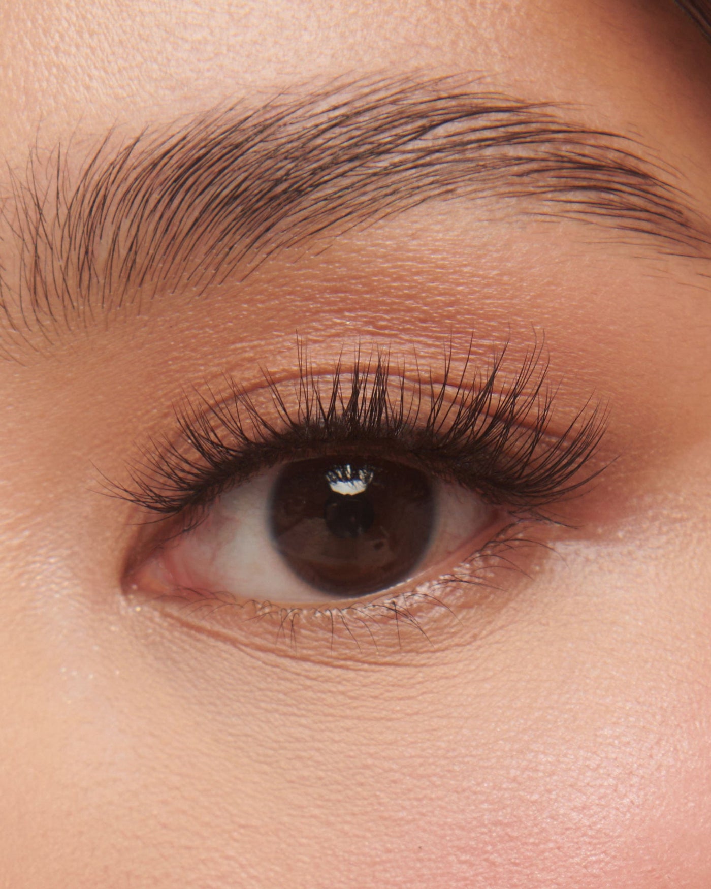 LASH ROUTINE 04 SHORT