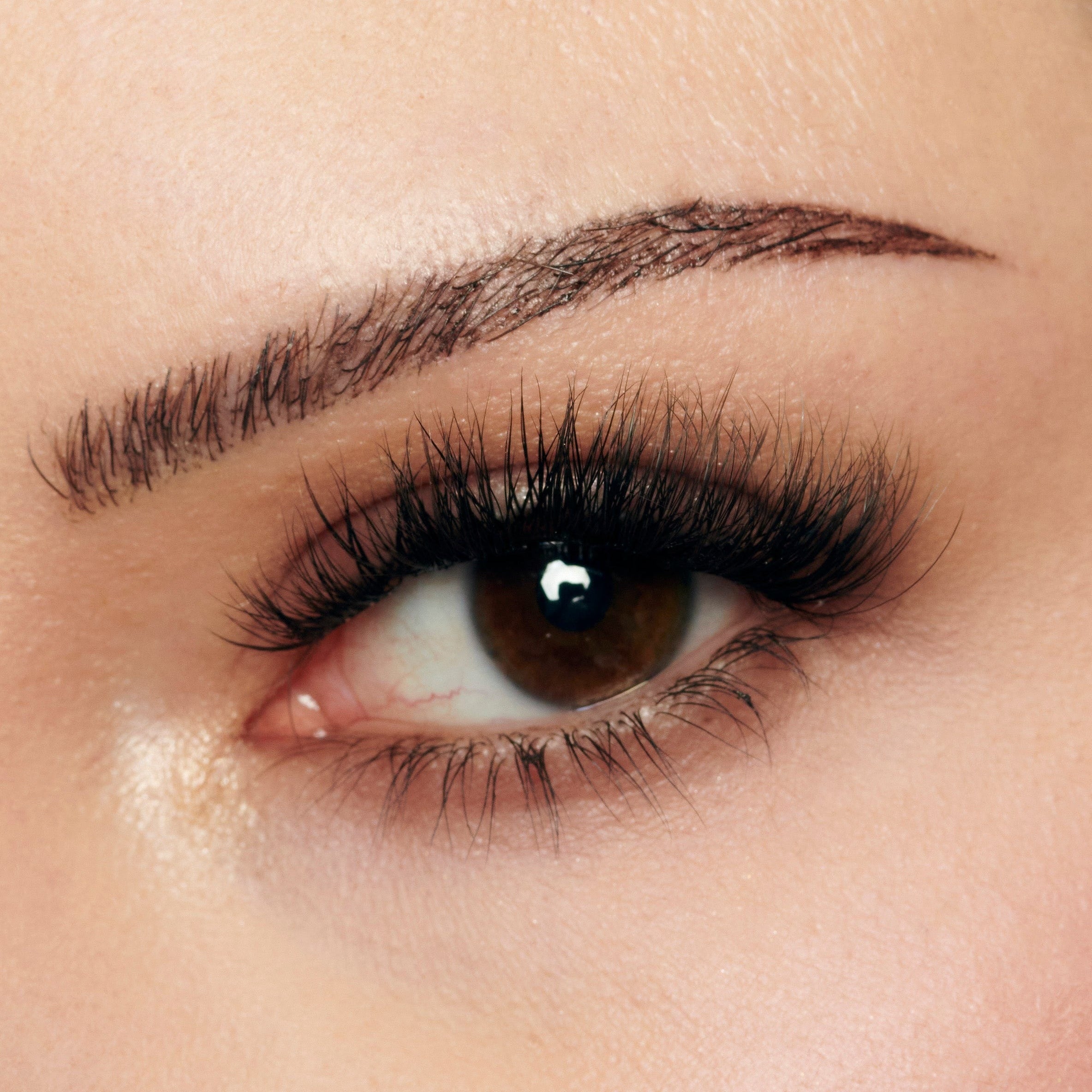 EASYLASH 01 STARTER KIT