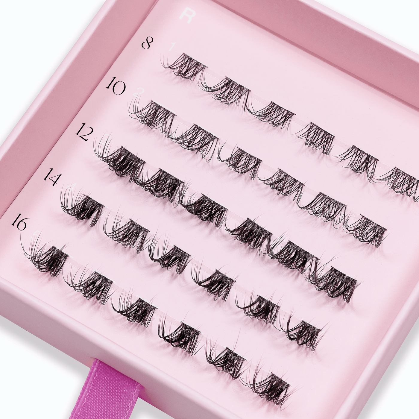 LASH ROUTINE 04