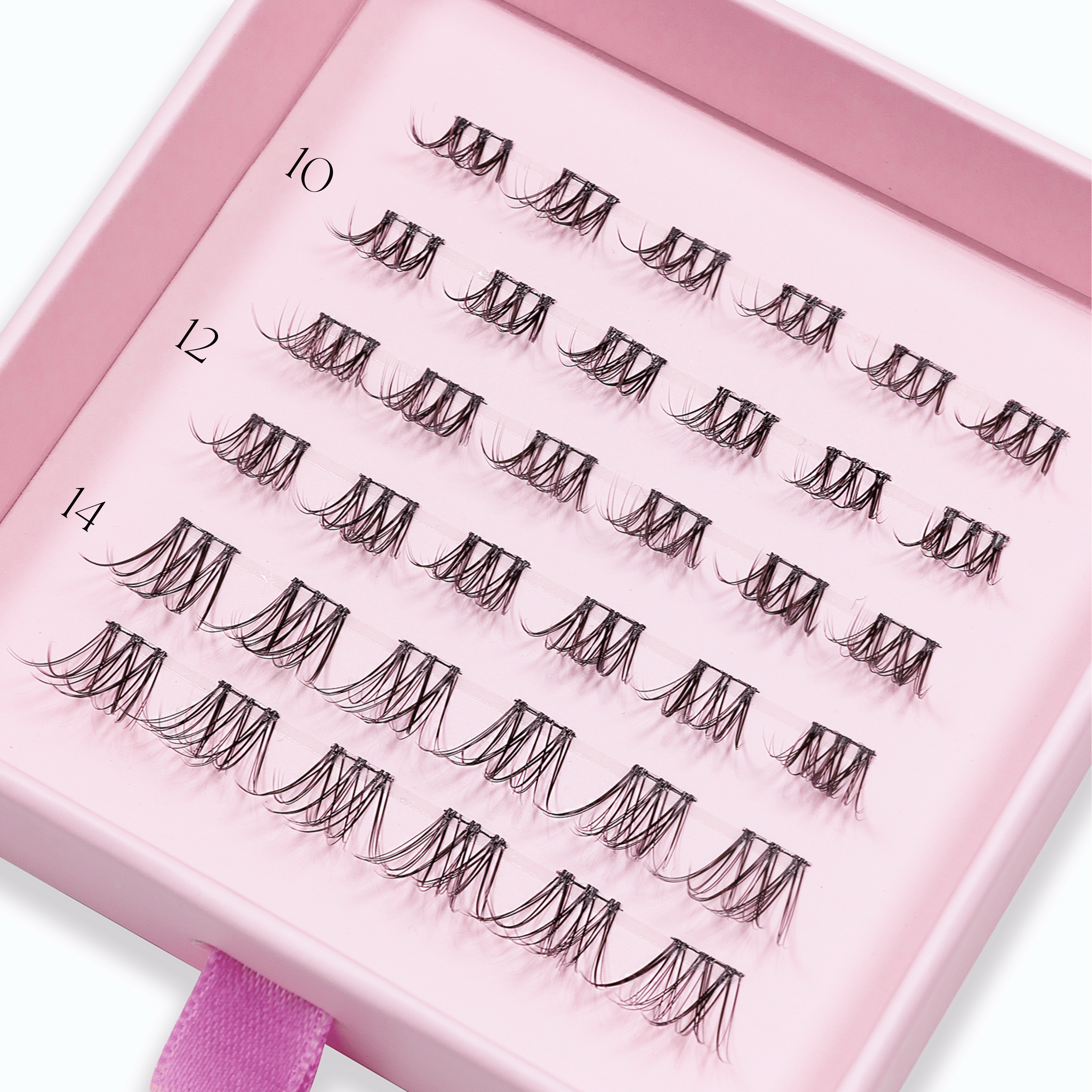 BUILD YOUR LASH ROUTINE