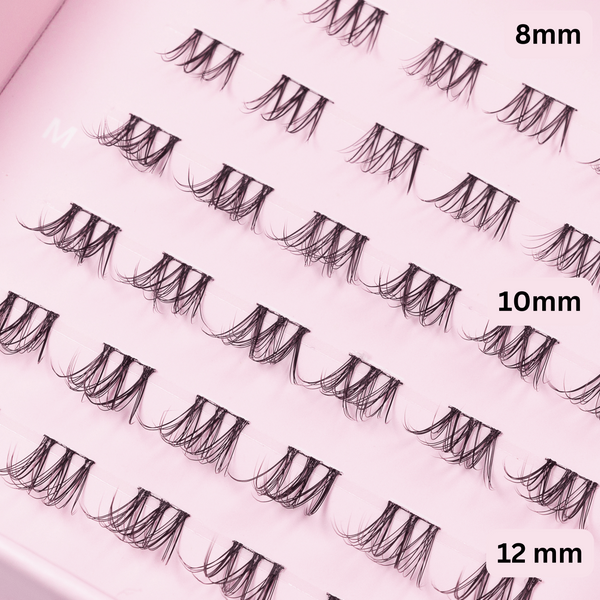 LASH ROUTINE 01 SHORT