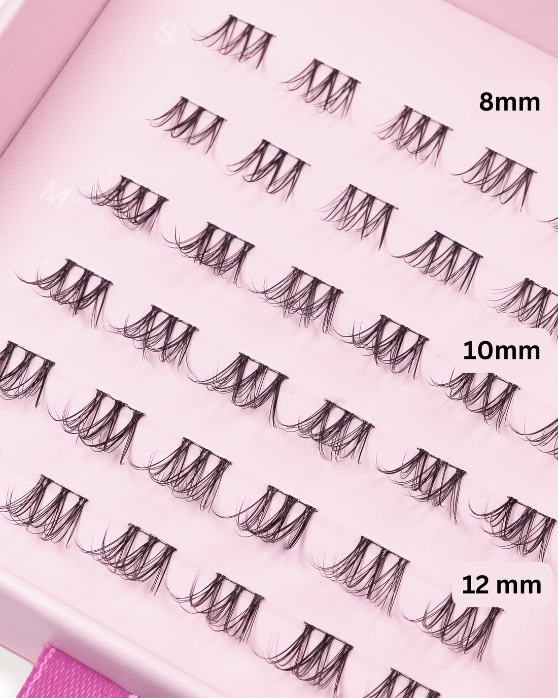 LASH ROUTINE 01 SHORT