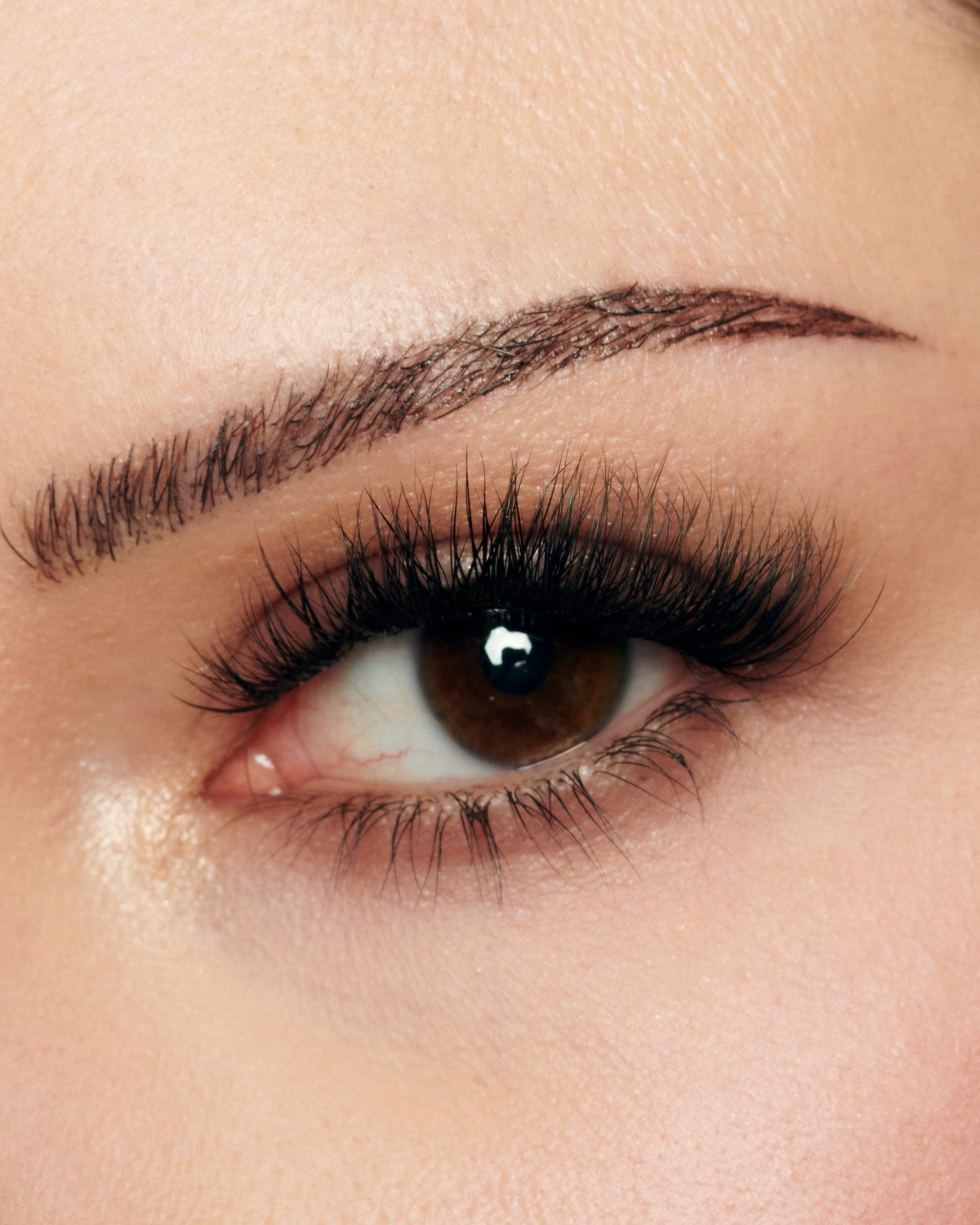 EASYLASH 01
