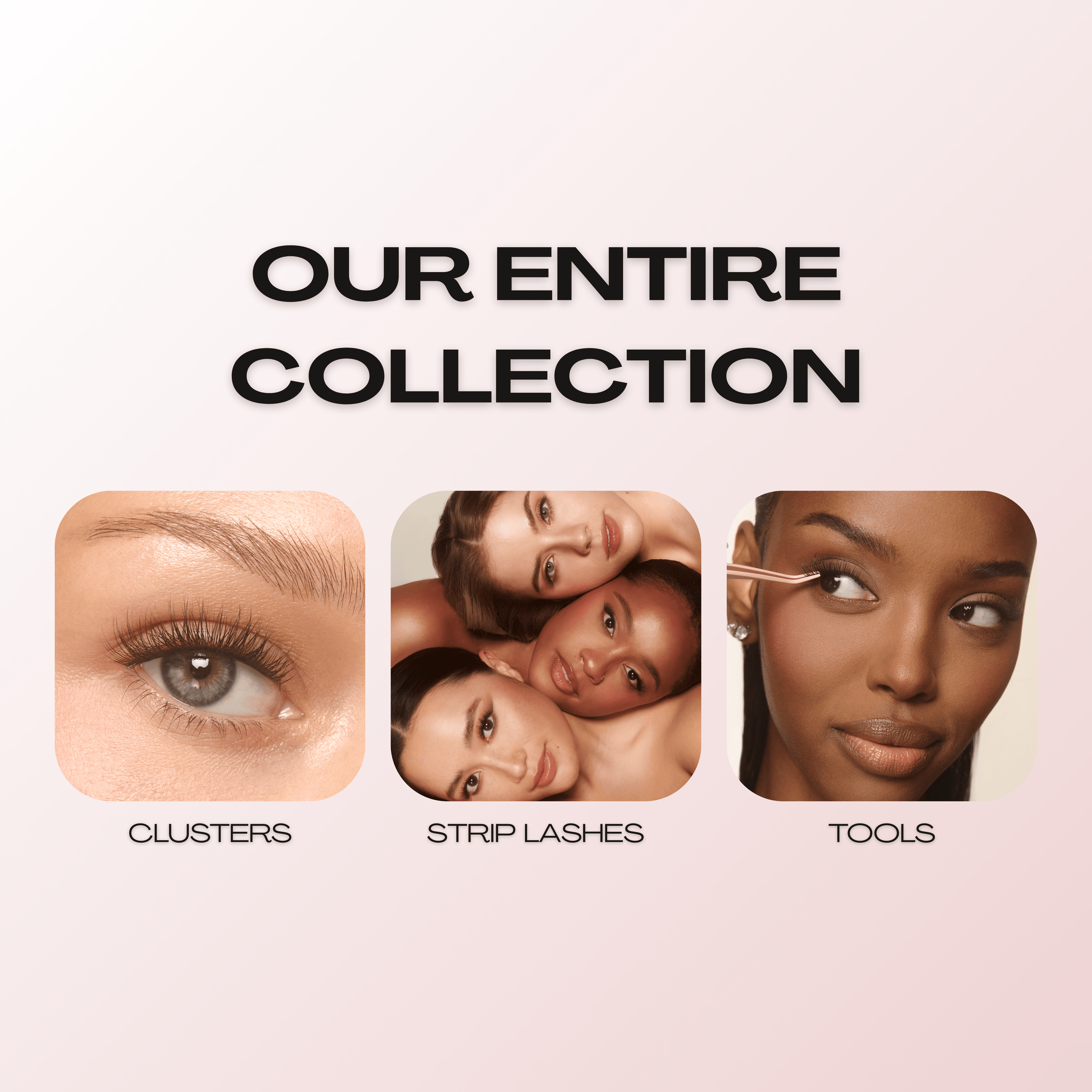 OUR_ENTIRE_COLLECTION.png_MOBILE.png