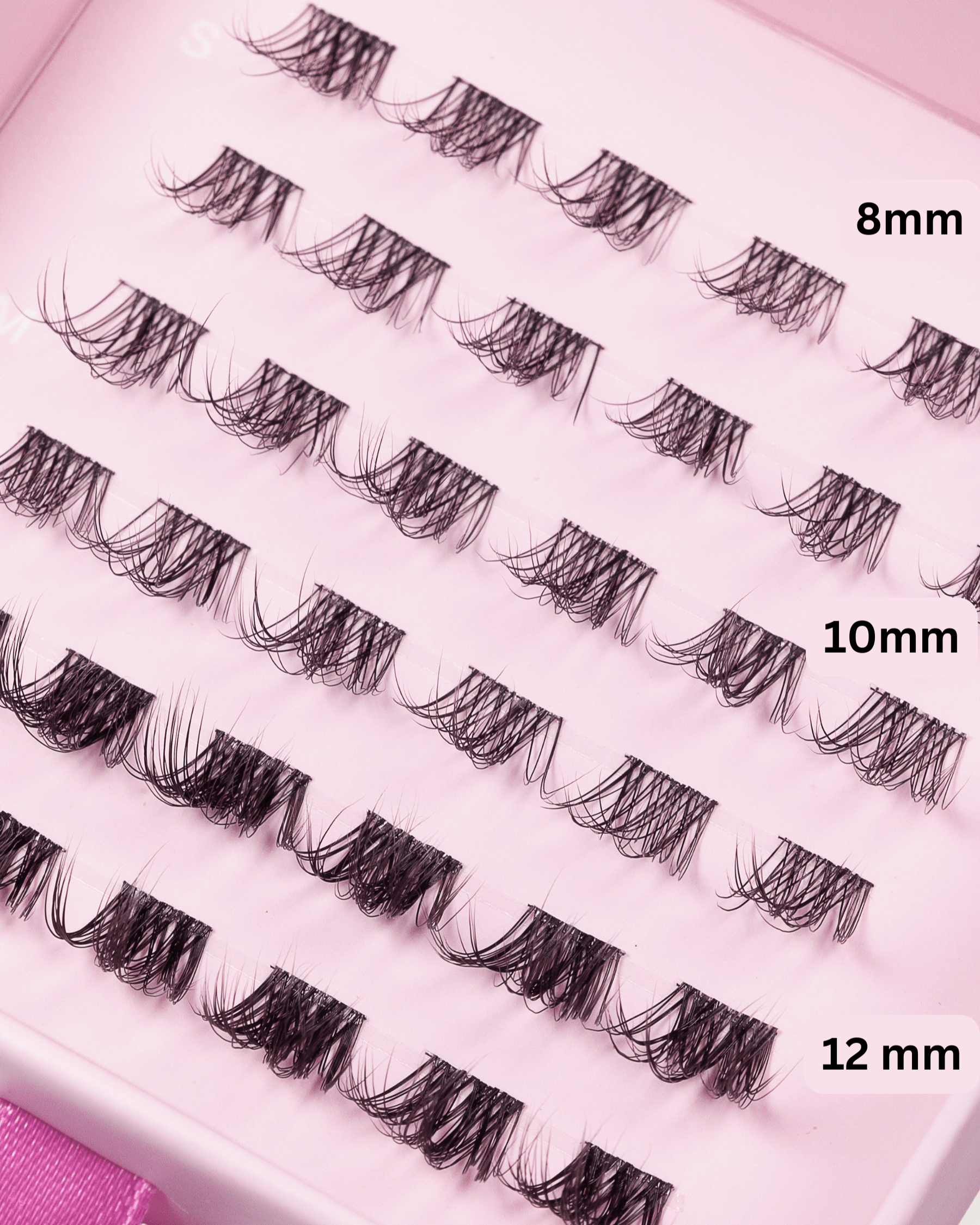 LASH ROUTINE 04 SHORT