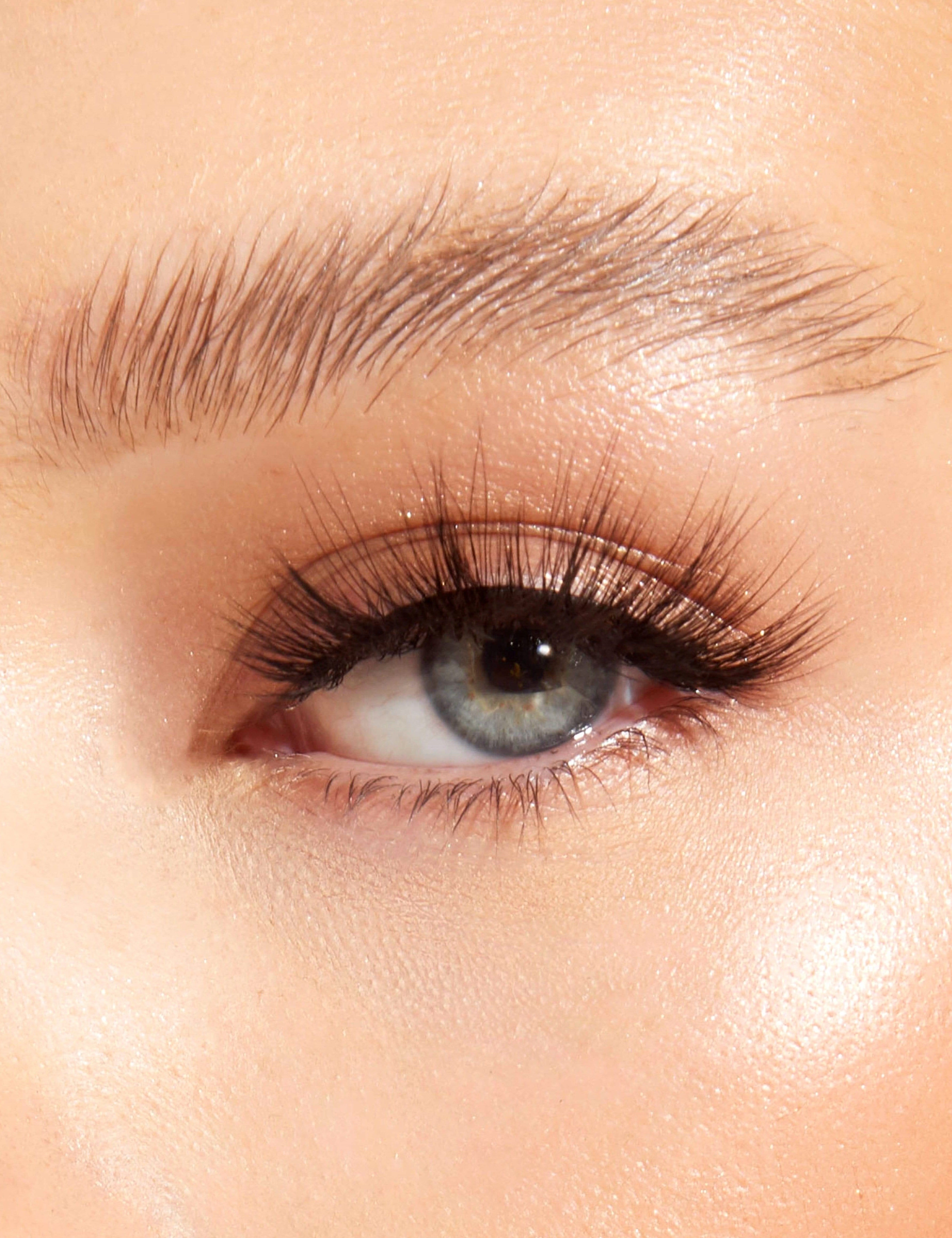 EB05-CloseUp.jpg
