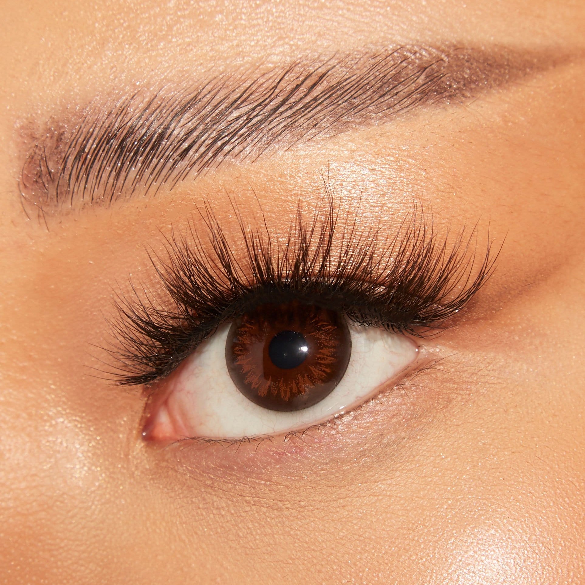 EB06-CloseUp.jpg